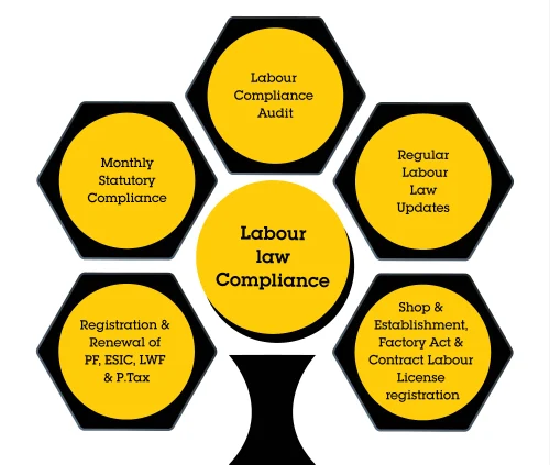labour-laws-compliance-audits-service